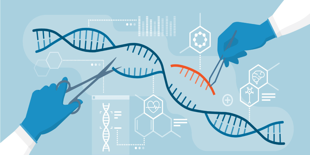 Estructura RNA y Biotecnología
